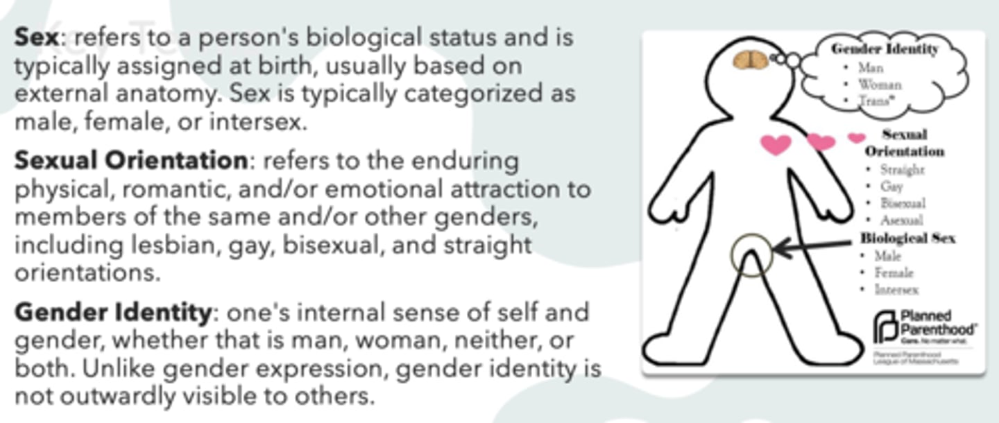 <p>Gender Identity</p>