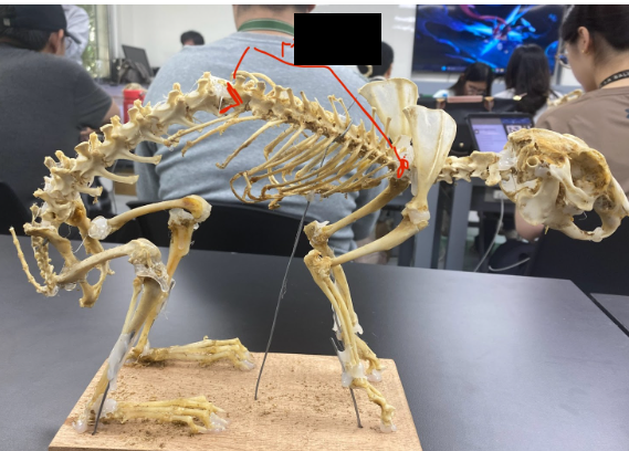 <p>What part is this&nbsp;</p>