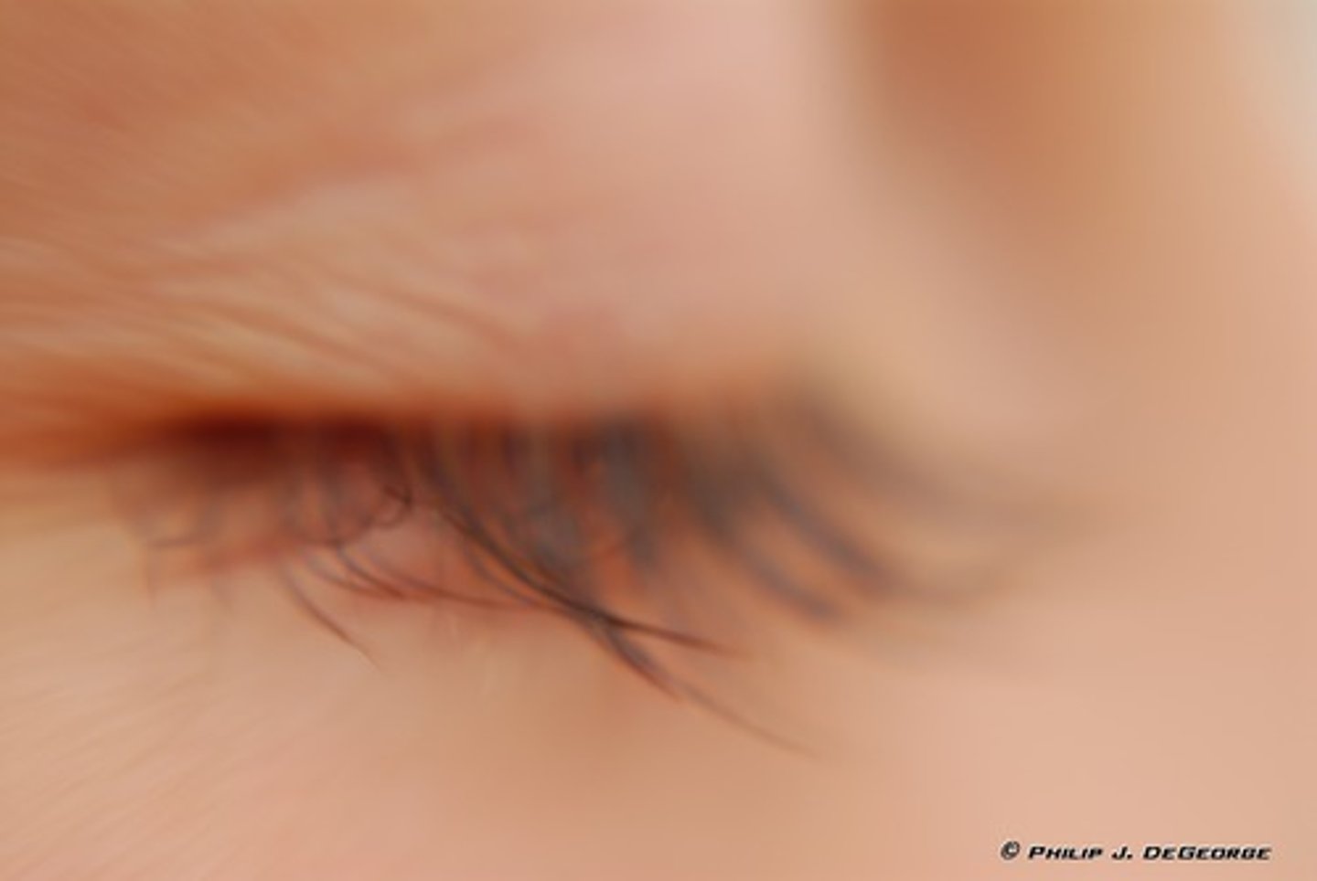 <p>eyelash</p>