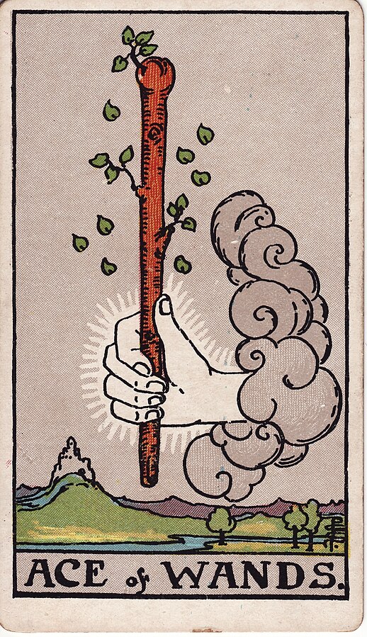 <p>Ace of Wands</p>