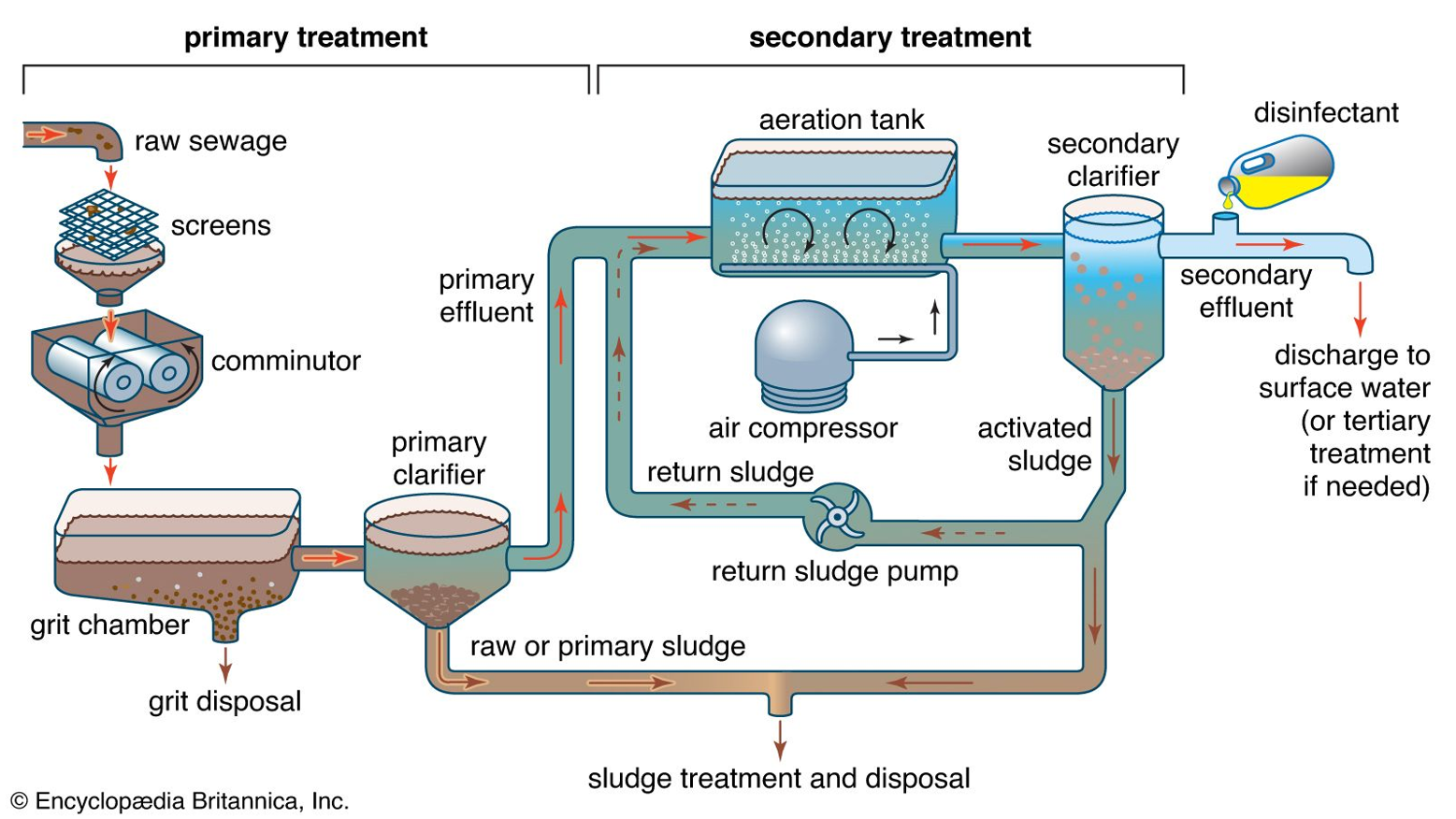 <p>Explain this diagram (primary treatment)</p>