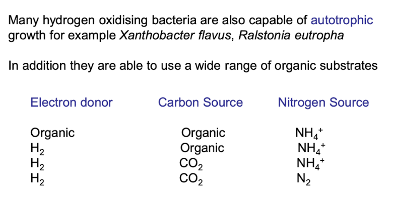 <p><strong>They are bacteria capable of oxidizing hydrogen and capable of autotrophic growth, fixing CO2</strong></p>