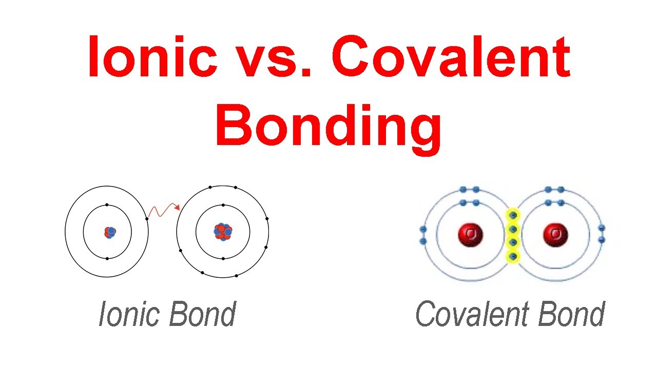 <p><strong>ionic:</strong> mutual attraction of oppositely charged ions through the gain or loss of electrons of an atom (metals &amp; nonmetals)</p><p><strong>covalent:</strong> a pair of electrons shared by two atoms</p>