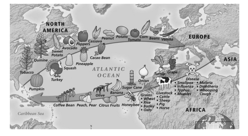 Type of spatial diffusion and the widespread transfer of plants, animals, culture, human populations, technology, diseases, and ideas between the Americas, West Africa, and the Old World