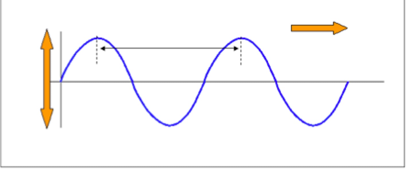 <p>A wave in which the particles of the medium move perpendicularly to the direction the wave is traveling</p>