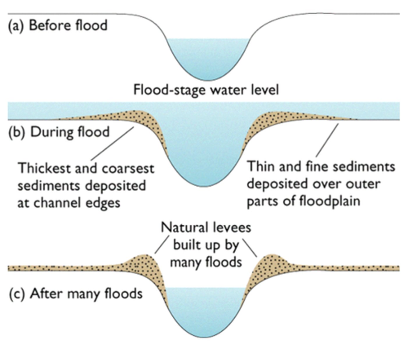 <p>a natural embankment along the edges of a river channel<br>during a flood eroded material is deposited over the whole flood plain, the heaviest material is deposited closest tot he river channel bc it gets dropped first when the river slows down, overtime deposited material builds up creating levees along edges of the channel</p>