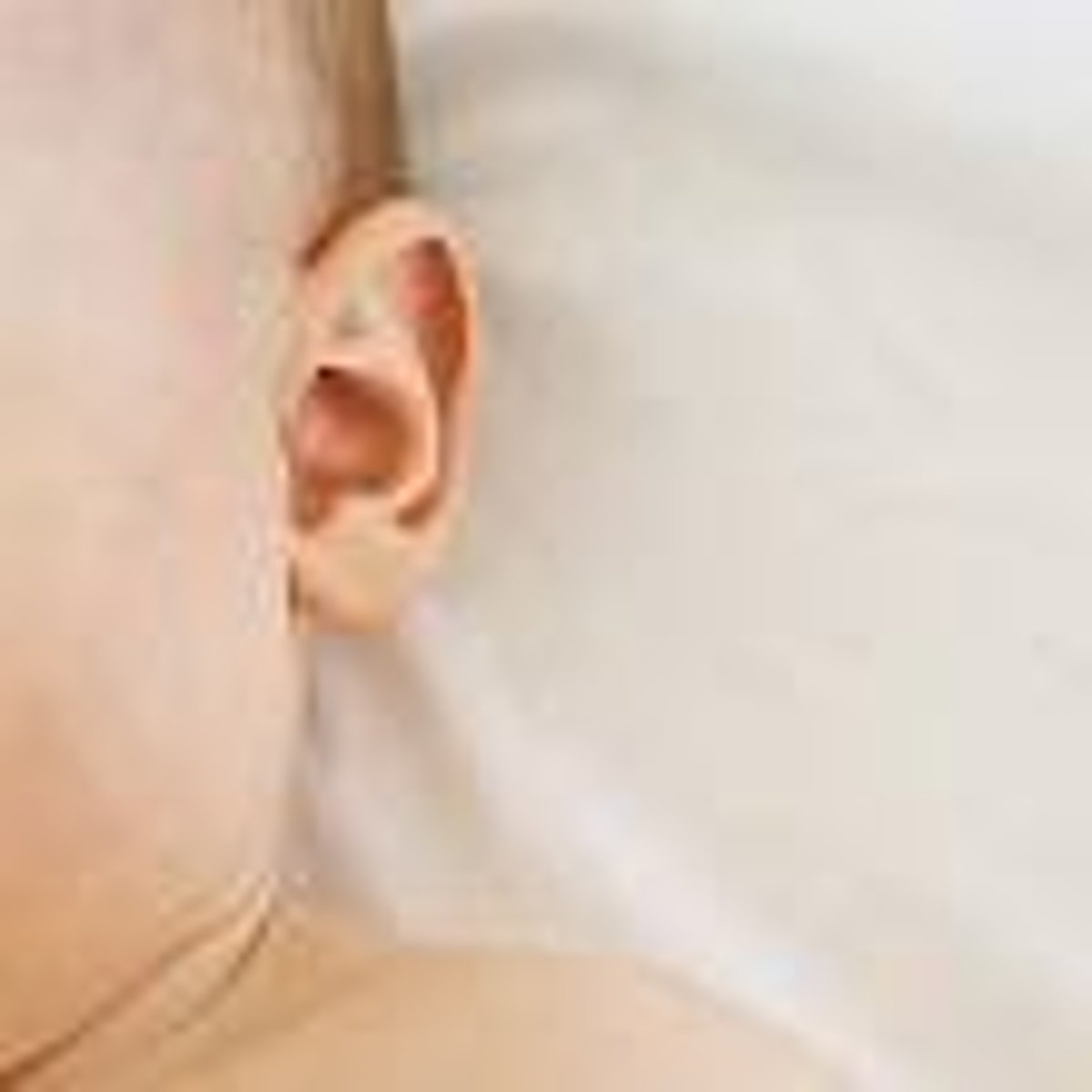 <p>the (outer) ear</p>