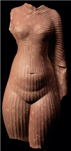 term image