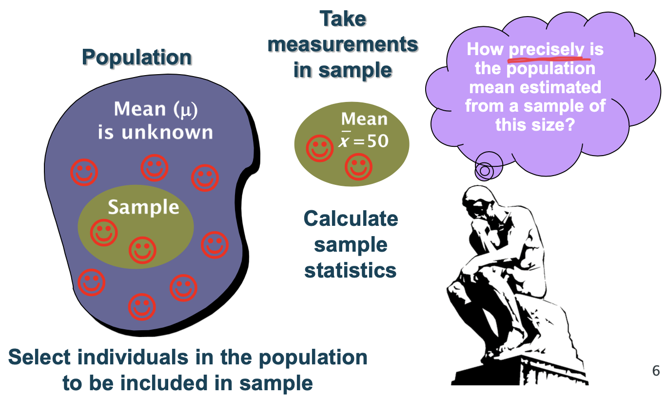 <ol><li><p>Define your study population</p></li><li><p>Select individuals in the population to be included in the sample population</p></li><li><p>Take measurements in the sample</p></li><li><p>Calculate sample statistics</p></li></ol><p></p>