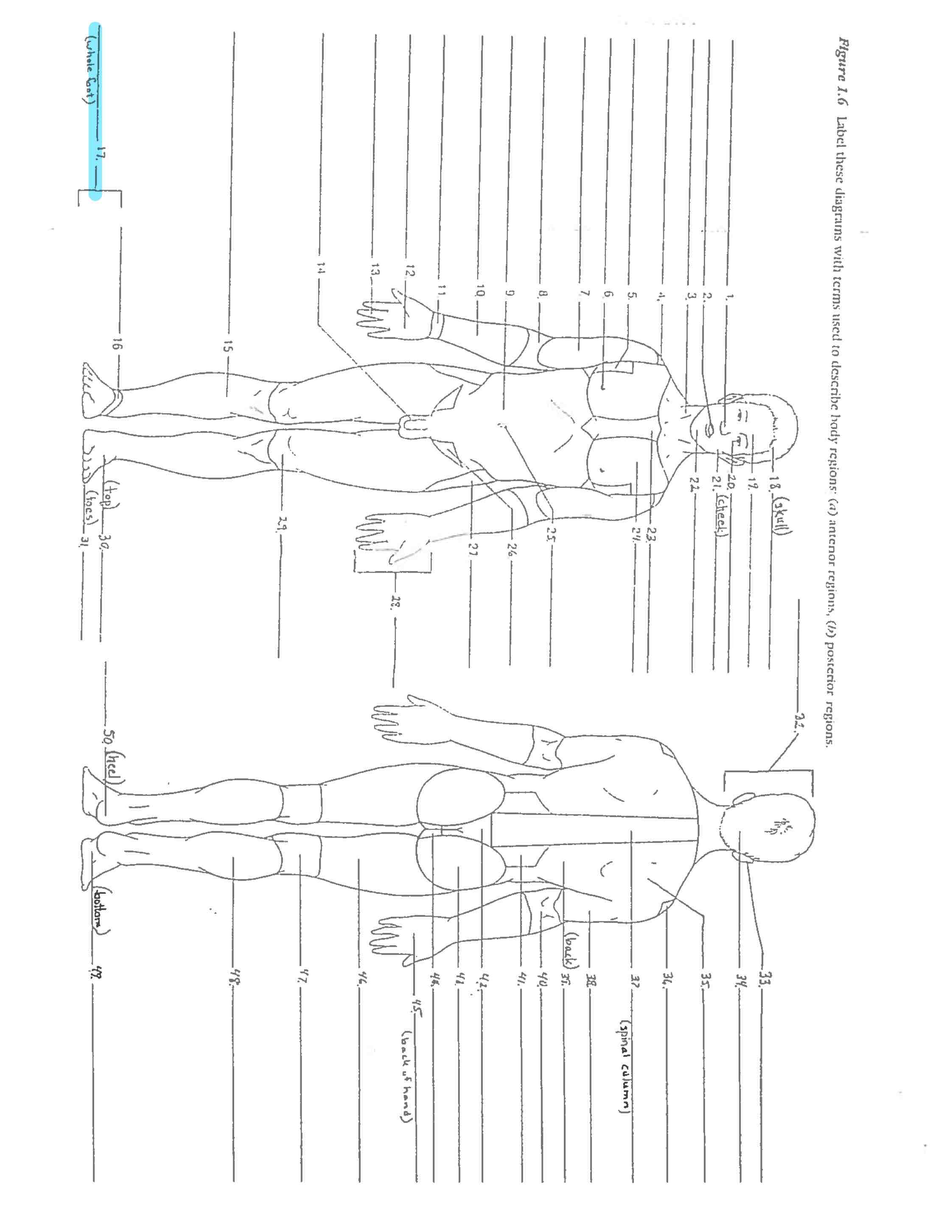 <p>Line 17 </p>