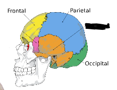<p>what is this?</p>