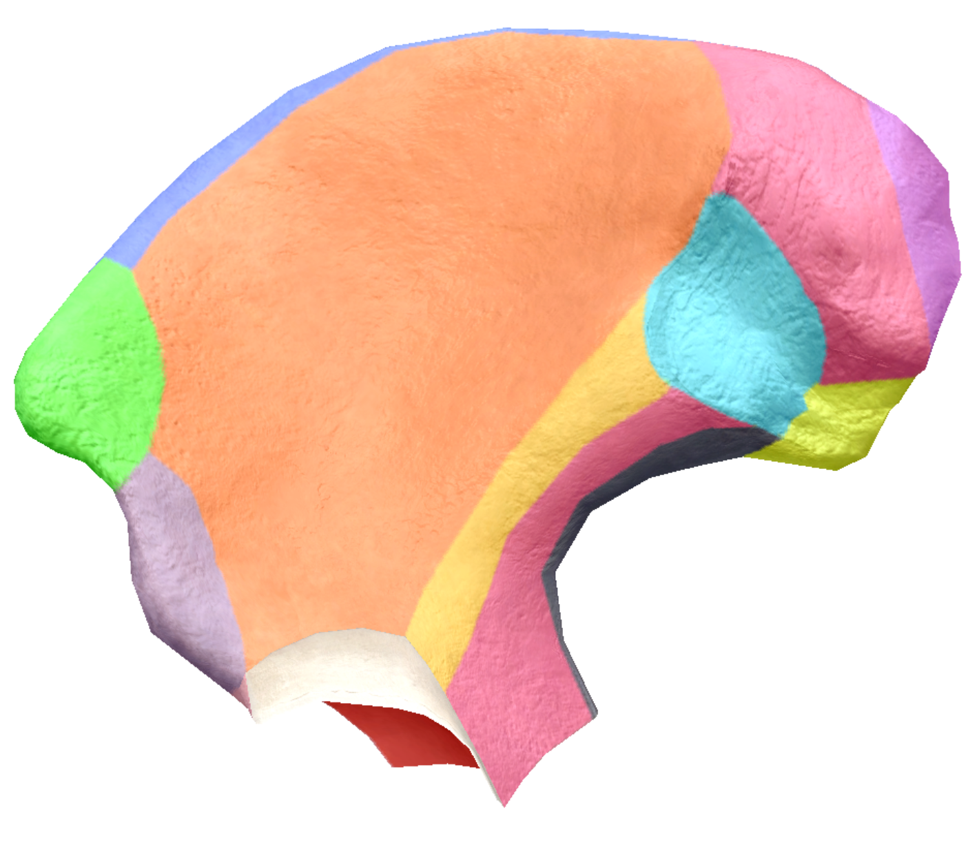 term image