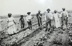 african americans and poor whites would work on a land owned by another in return for small pay or some crops
