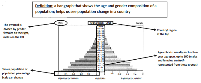 <p>Population pyramids</p>