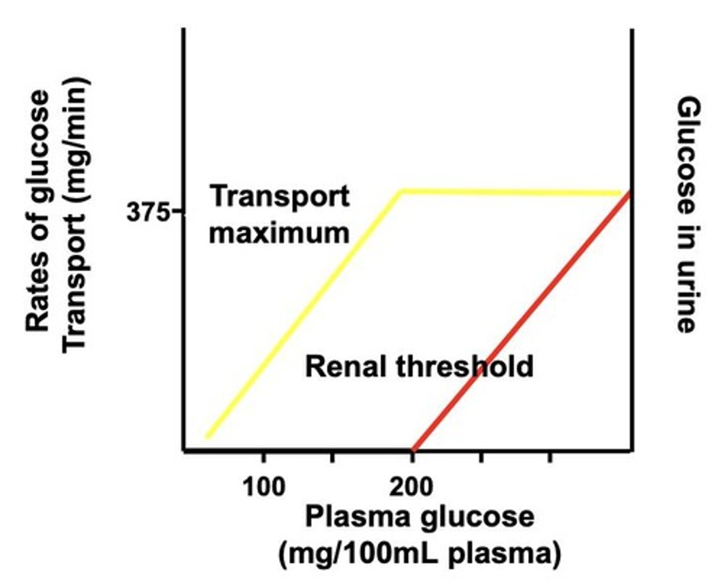 <p>Maximum glucose reabsorption capacity of kidney transporters.</p>