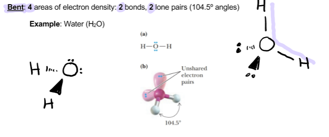 <p>4 areas of electron density 2 bonds, 2 lone pairs</p>