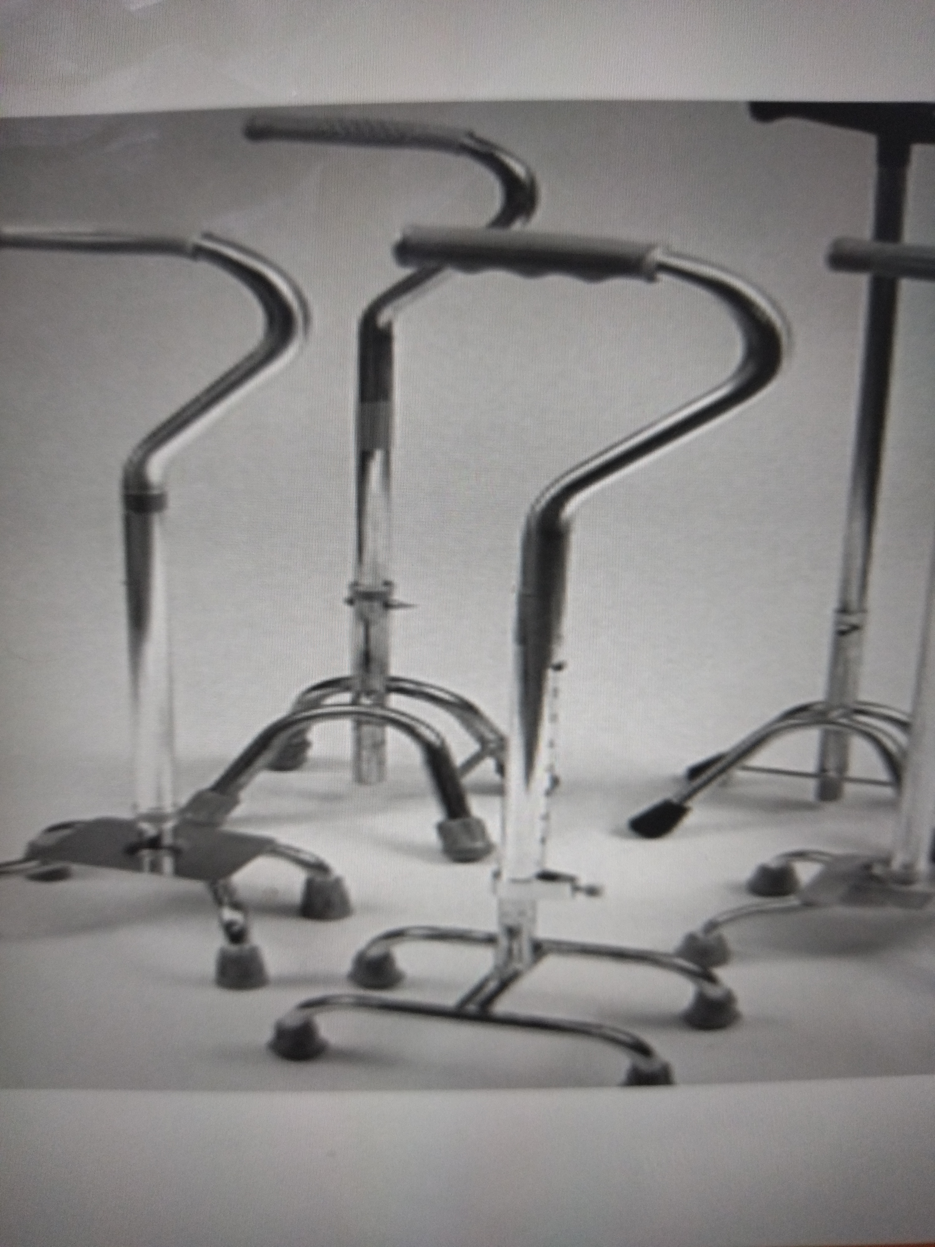 Aka Quadrupe Cane
