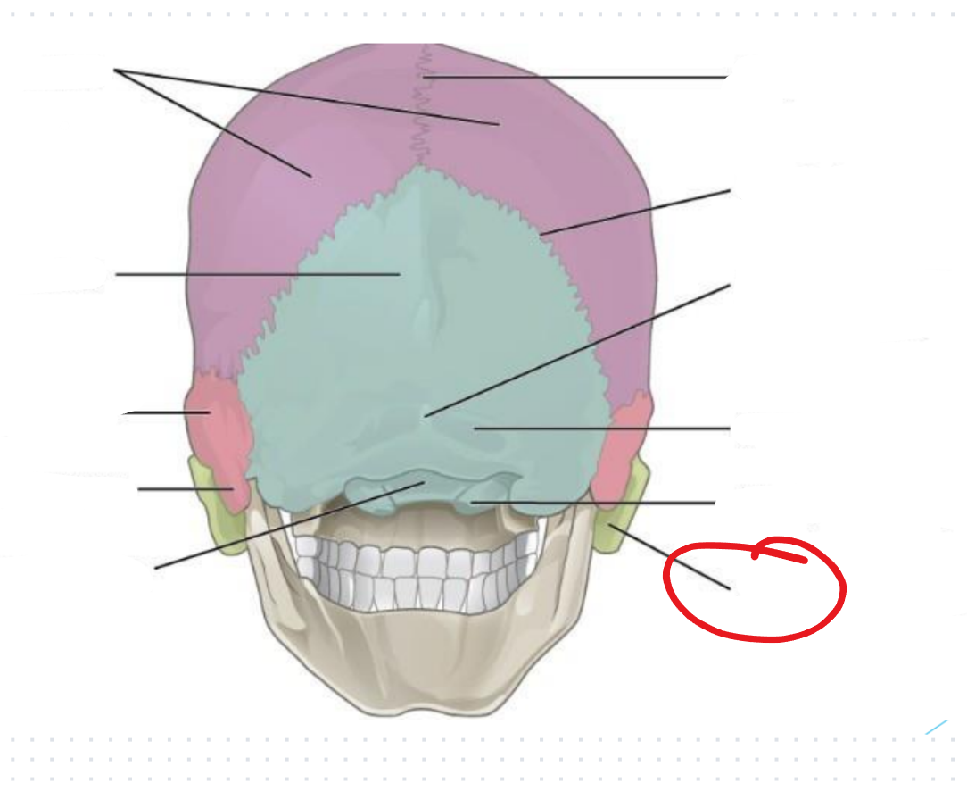 term image