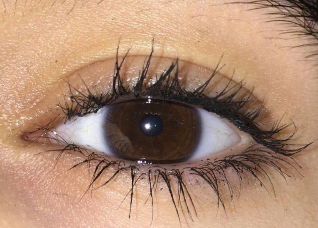 <p>brown eyes </p>