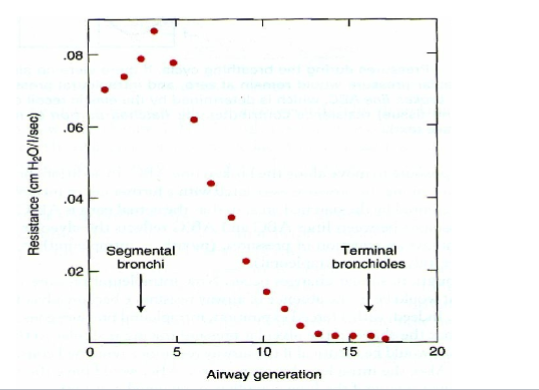 <p>Terminal Bronchioles Offer Very Little Resistance</p>