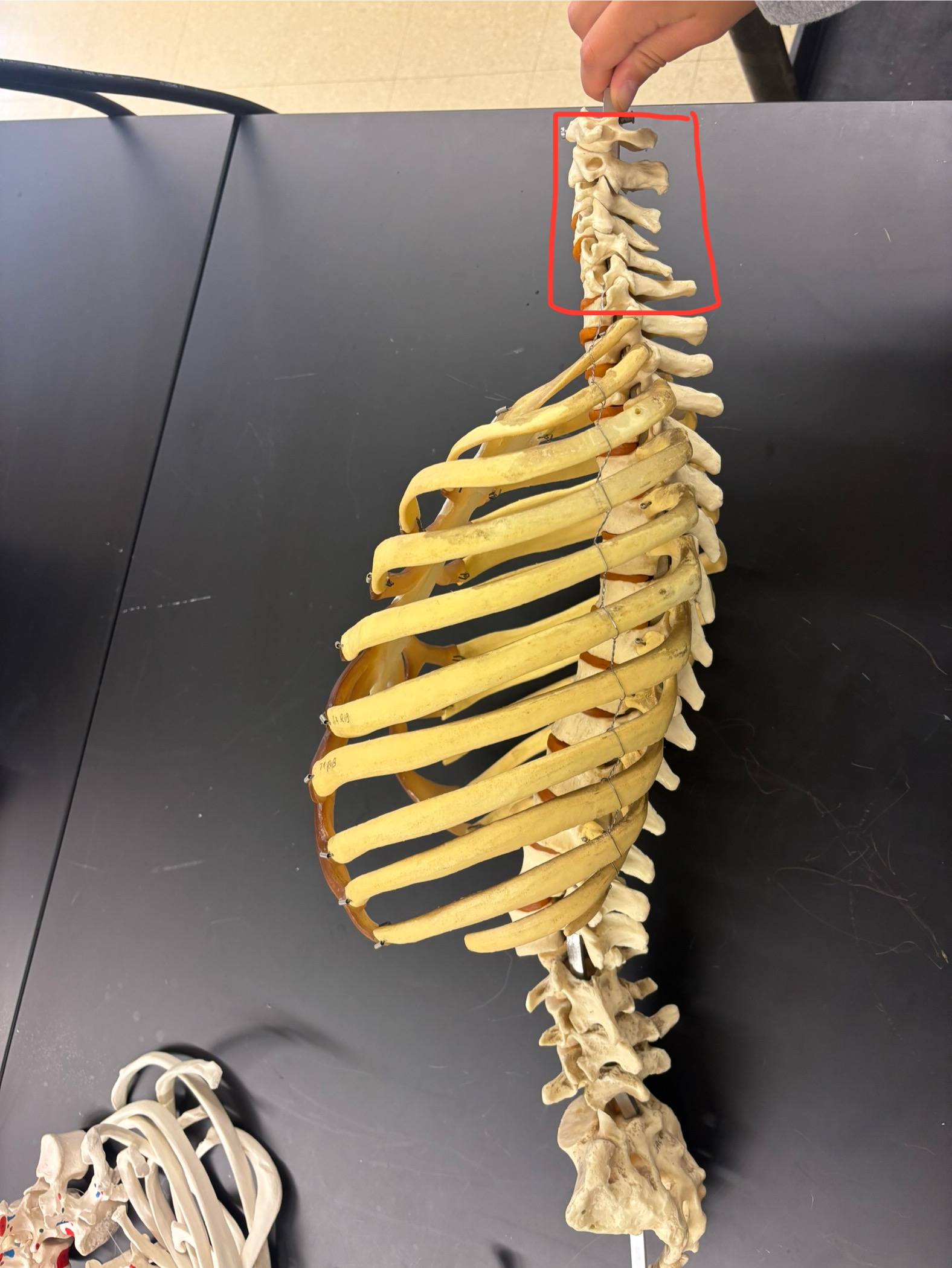 <p>What is this showing?</p>