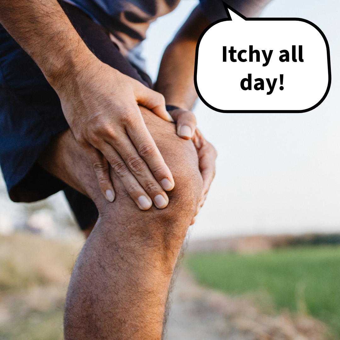 <p><strong>いちにち 一日</strong></p><p><span style="color: rgb(169, 169, 169);"><span>Kanji:</span></span></p><p><span style="color: rgb(169, 169, 169);"><span>一 One</span></span></p><p><span style="color: rgb(169, 169, 169);"><span>日 Day/Sun</span></span></p>