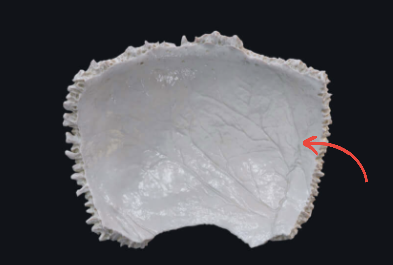 <p>What is this?</p>