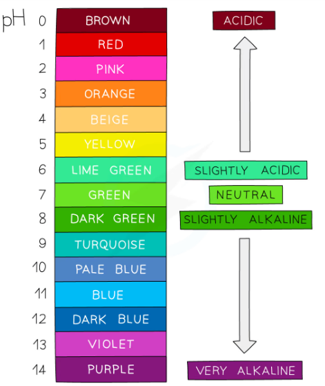 <ul><li><p>Universal indicator is a wide range indicator and can give only an approximate value for pH</p></li><li><p>It is made of a mixture of different plant <strong>indicators</strong> which changes oclours in a gradual way over a range of pH values and is useful for estimating the pH of an&nbsp;<strong>unknown solution. </strong></p></li><li><p>A few drops are added to the solution and the colour is matched with a colour chart which indicates the pH which matches with specific colours.Universal indicator colours vary slightly between manufacturer so colour charts are usually provided for a specific indicator formulation</p></li><li><p>it is red in acidic and blue in alkali</p></li></ul>