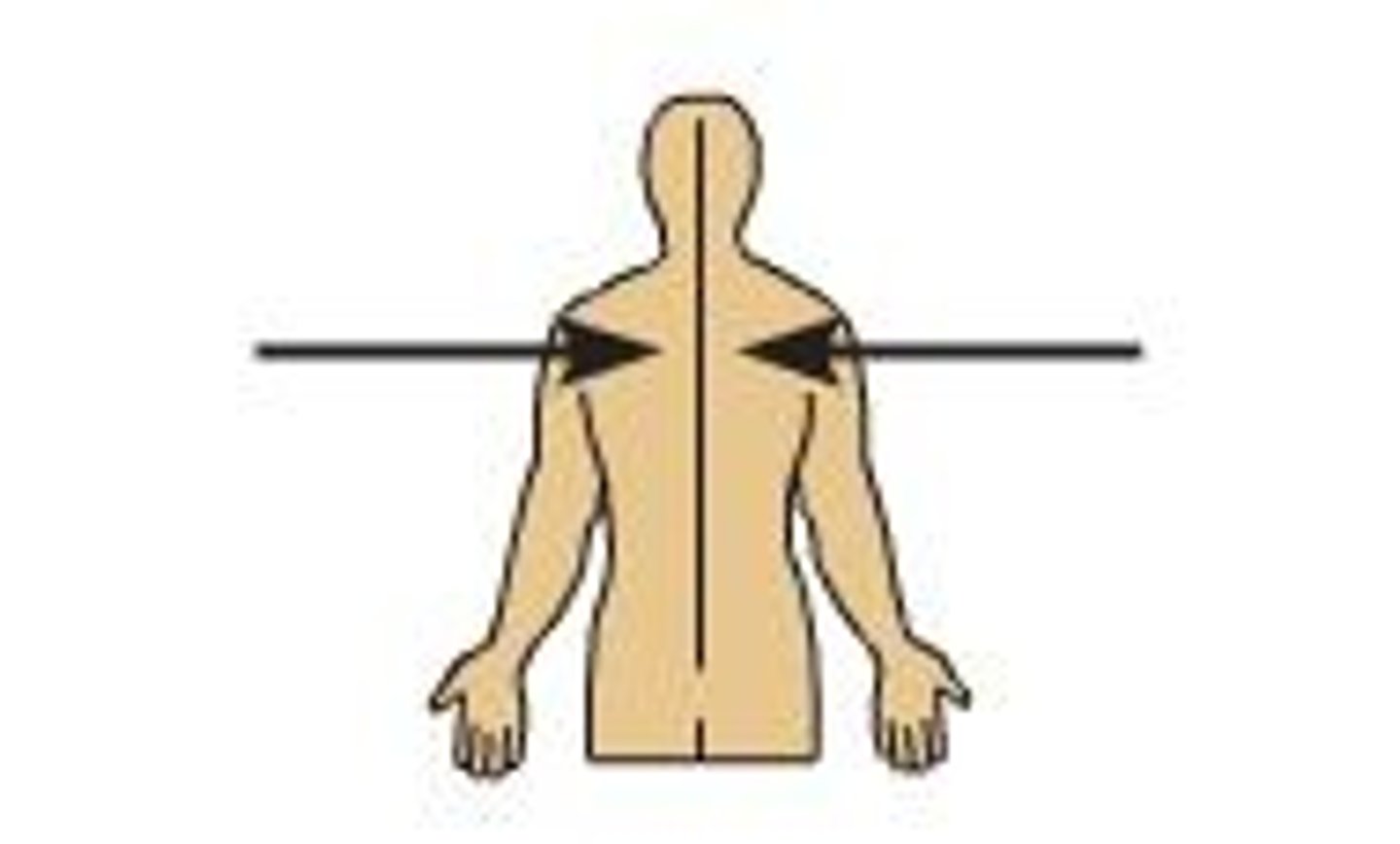 <p>the heart is _____ to the arm</p><p>toward or at the midline of the body; ON THE INNER SIDE OF</p>