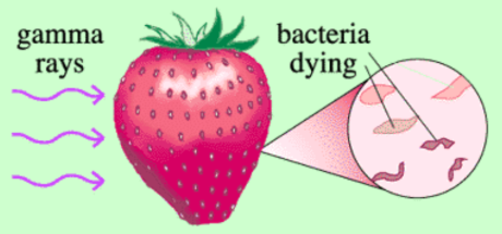 <p>to kill bacteria</p>