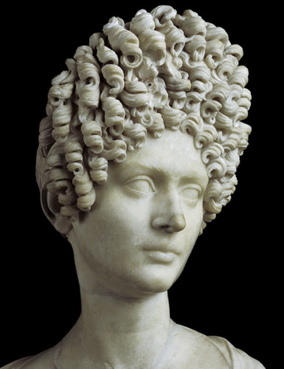 <p>high fashion bust commonly known, created during the Flavian dynasty based off of realism</p>