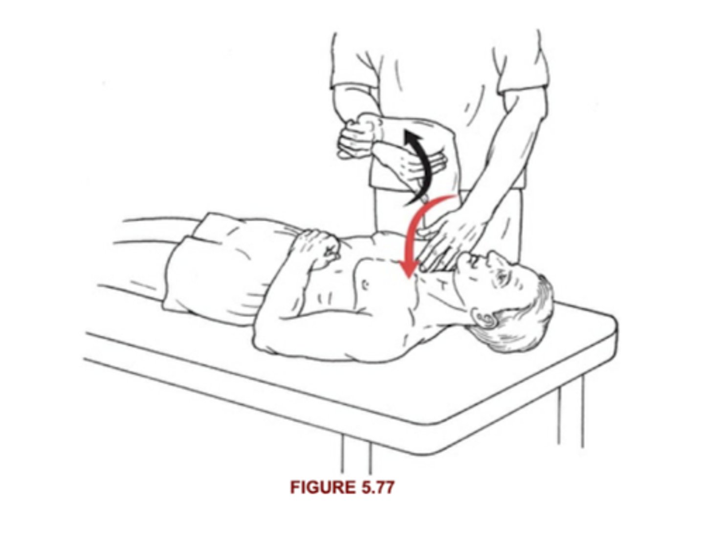 <p>5: Holds against maximal resistance (specific head)</p><p>4: Holds against strong to moderate resistance, but muscle exhibits some "give" at end of range (specific head)</p>