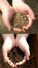 earth/ground