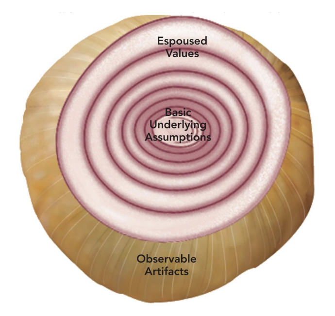 <ul><li><p>Observable Artifacts</p><ul><li><p>Language</p></li><li><p>Rituals</p></li><li><p>Stories</p></li><li><p>Symbols</p></li></ul></li><li><p>Espoused Values</p><ul><li><p>more mental beliefs</p></li><li><p>philosophies</p></li><li><p>norms that are being explicitly stated</p></li></ul></li><li><p>Basic Underlying Assumptions</p></li></ul><p></p>