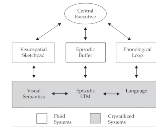 Definition: WM as a system necessary for concurrent storage and manipulation of information

Tasks: devised to combine storage and processing

Test of theory: Extent to which WM tasks predict a range of cognitive skills, such as reading, comprehension, and reasoning

Advantaged: Can (better?) tackle the central executive; work directly on problems of practical significance (reading comprehension; educational and clinical applications)

Disadvantages: Somewhat arbitrary construction of tasks that do not readily lend themselves to detailed analysis of component processes