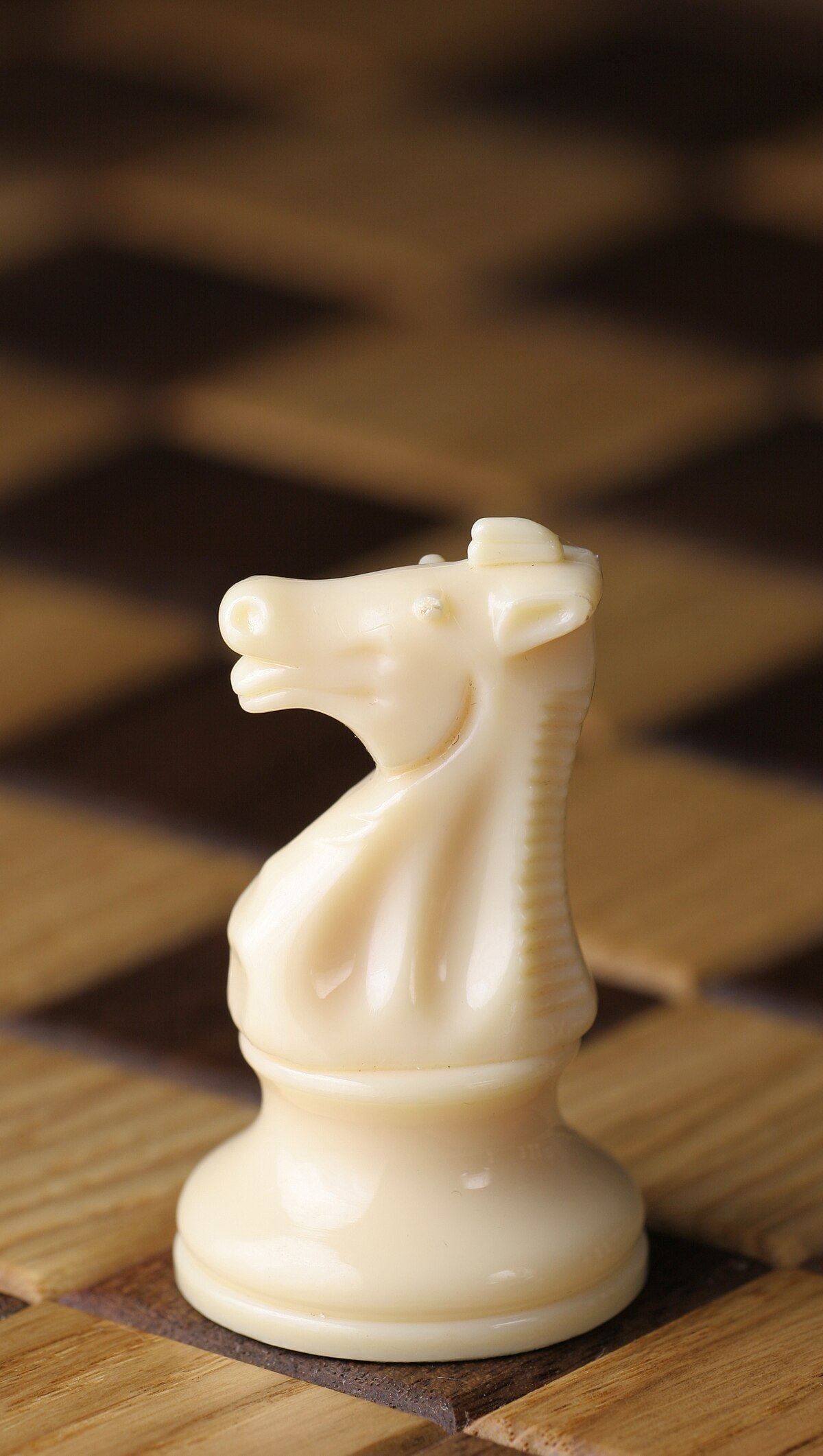 <p>Knight</p>