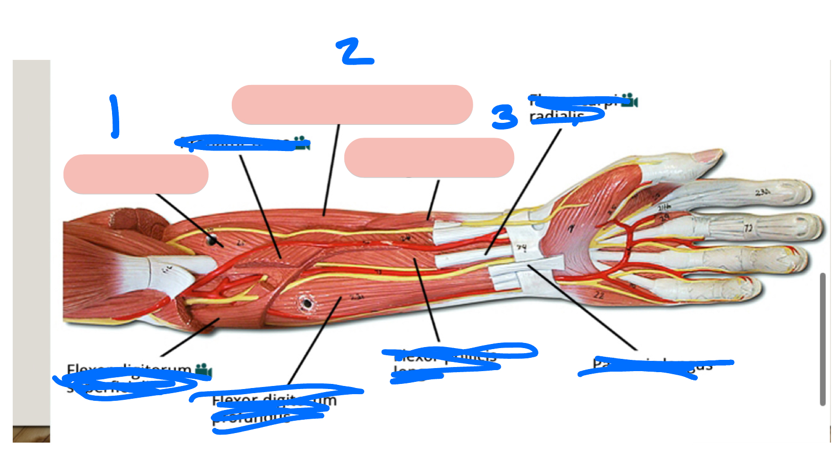 <p>1</p>