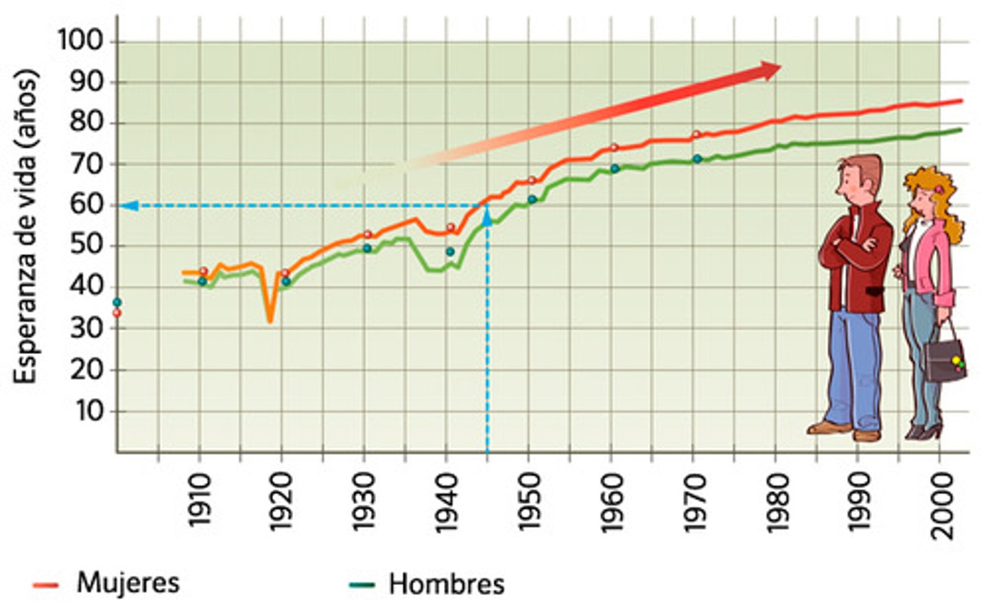 <p>life expectancy</p>