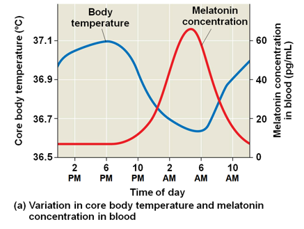 <p>Acclimatization</p>