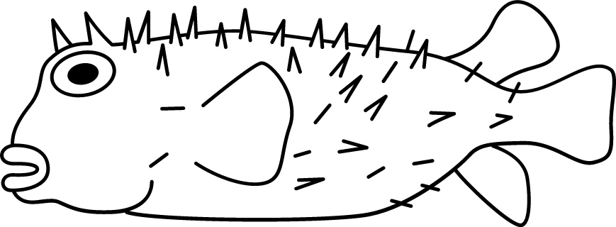 <p>Spines on body<br>Size: 30 cm</p>