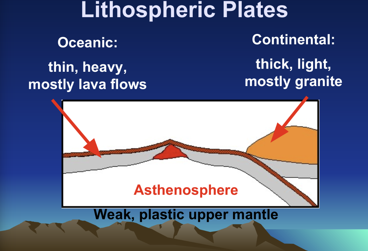 <p>oceanic and continental</p>