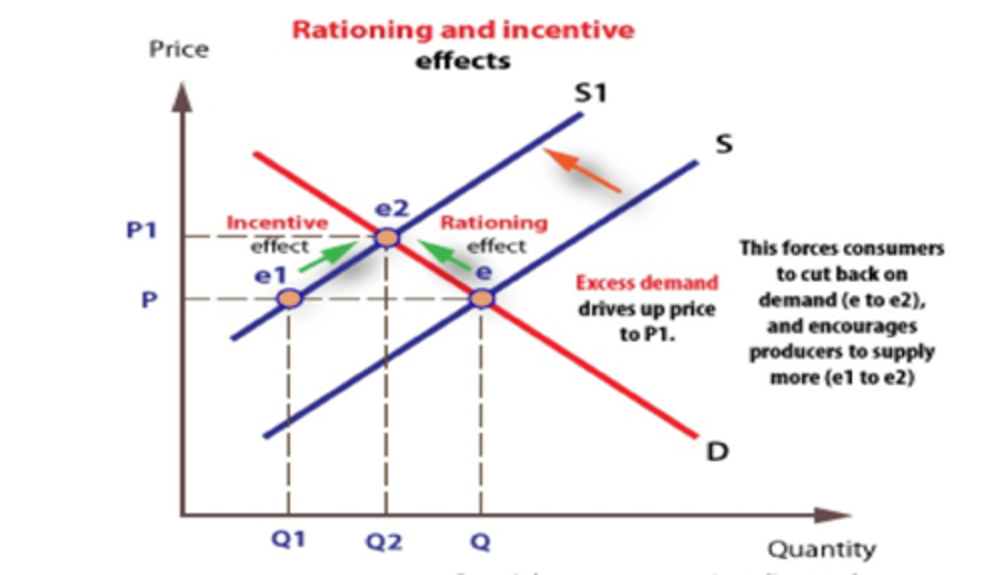 <p>Signalling Function</p><p>Rationing Function</p><p>Incentive Function</p>