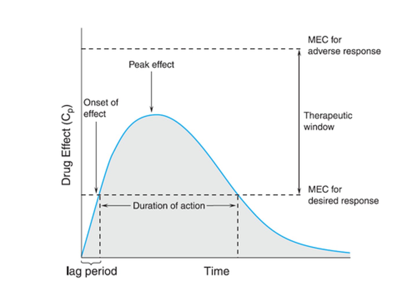 <p>how long a drug actively produces a therapeutic effect</p>
