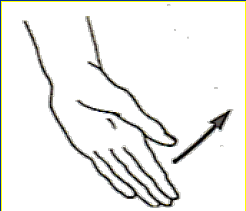 <p>What Movement is occurring?</p>