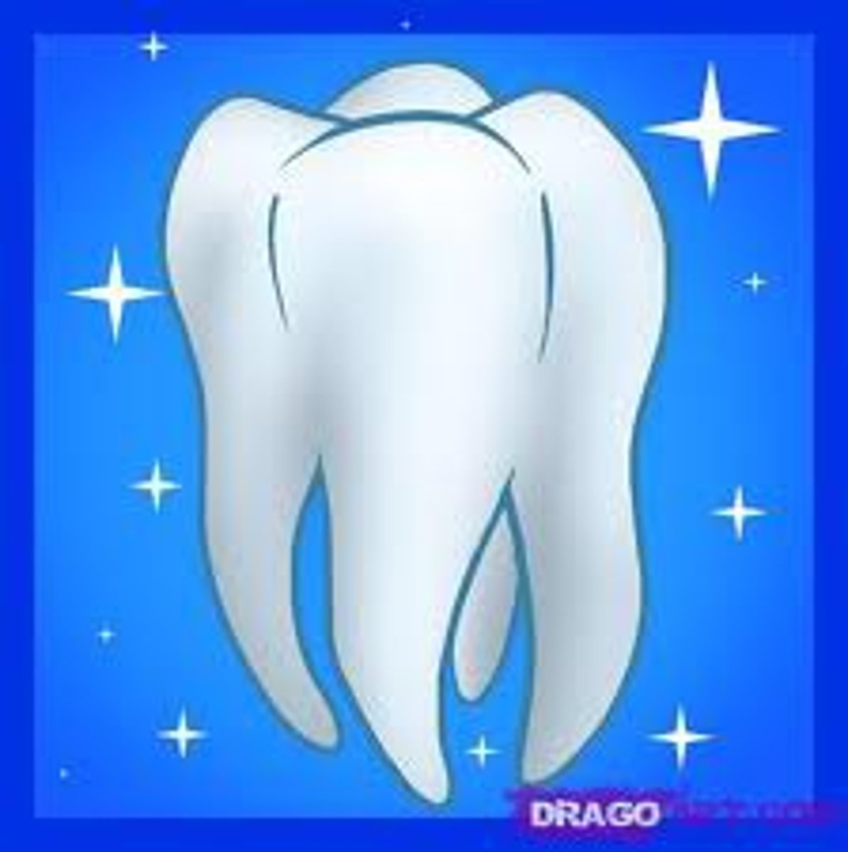 <p>DEFINITION</p><p>tooth (teeth)</p>