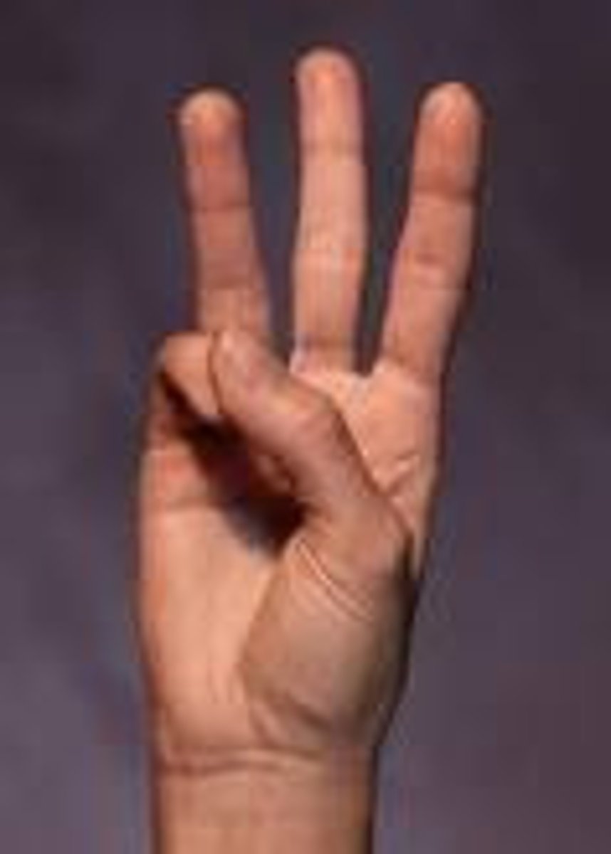 <p>Tip of little finger is touching tip of thumb. Index, middle and ring fingers are straight and slightly spread.</p>