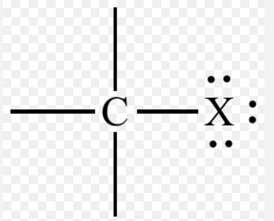 <p>Name the functional group &amp; list what “X” could be</p>