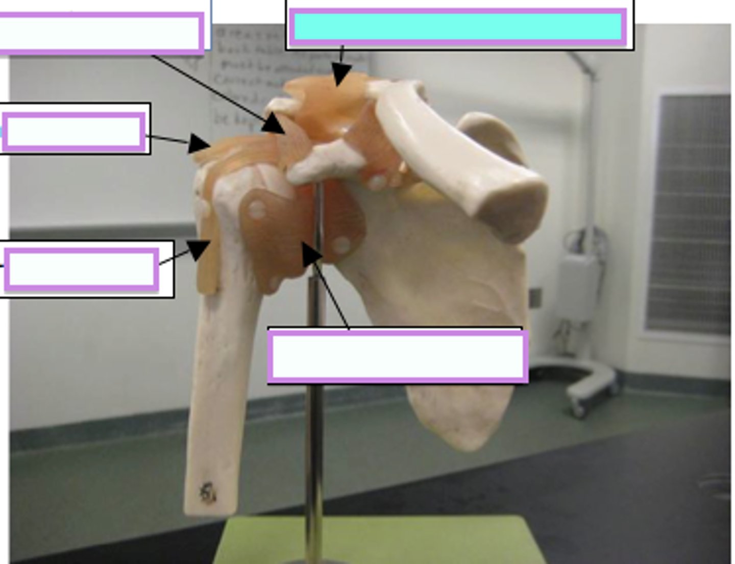 <p>/ˈmɒdl ɒn/ (Phr.V)</p><p>Mô phỏng theo, làm theo mẫu"The idea is modelled on historic volcanic explosions..."</p>