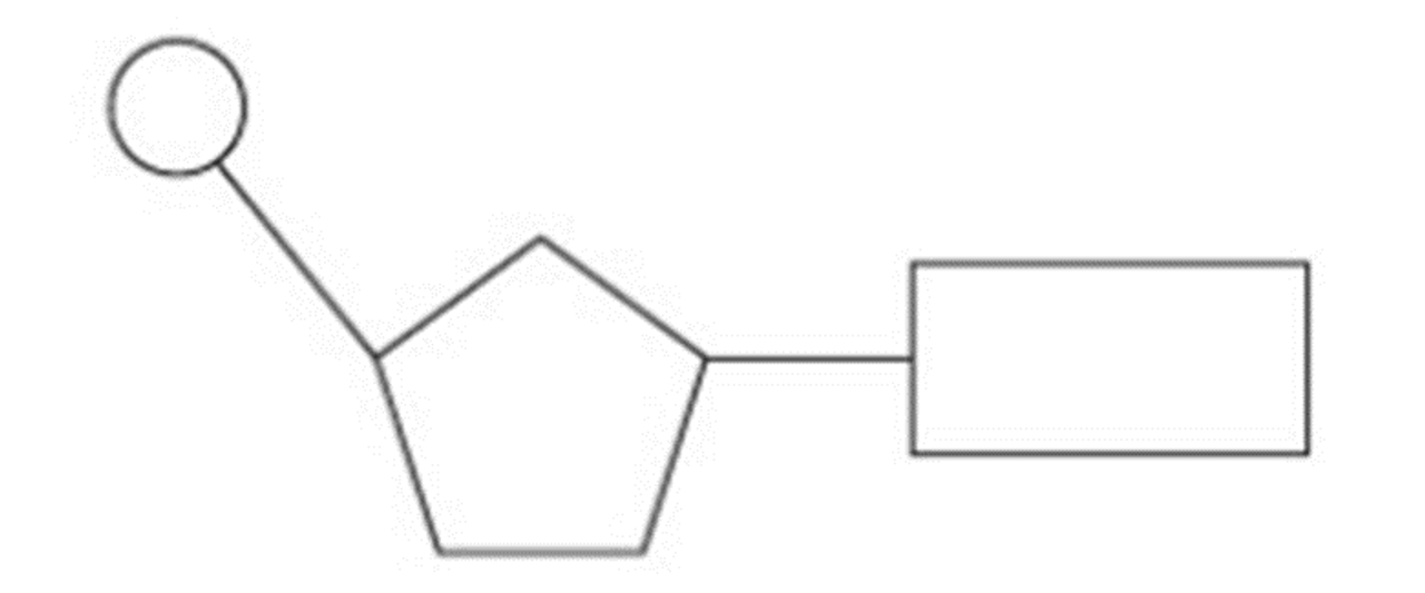 <p>Students should be able to draw and recognize diagrams of the structure of single nucleotides and RNA polymers.</p>