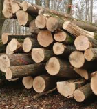 <p>wood, timber</p>